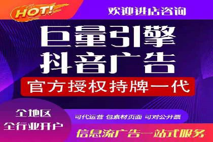 顶级SEM服务公司案例解析